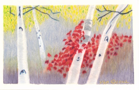 Autumn birches