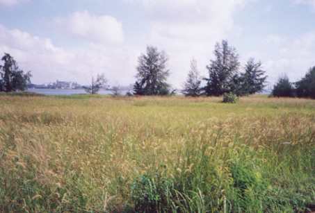 sk13.jpg