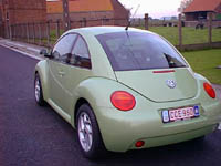 beetle3s.jpg (12677 bytes)