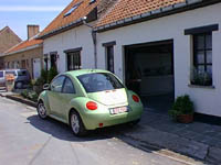 beetle5s.jpg (14014 bytes)