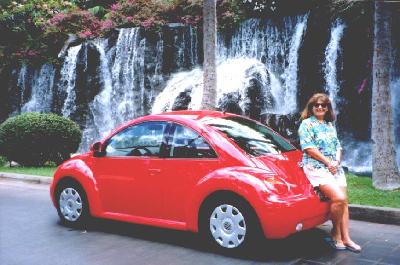 Julie's New Beetle