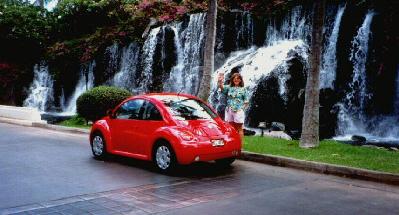 Julie's New Beetle