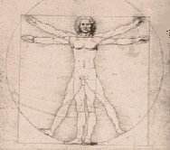 da vinci