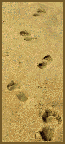 footprints