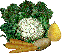 Nutrition logo
