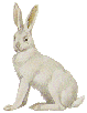 bunny facing left