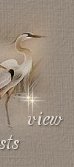 sign guestbook