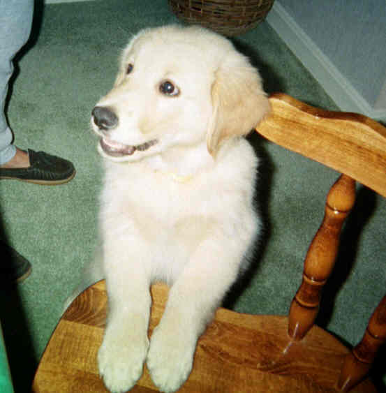Dixie at 4 Months and Dixie at 6 Months