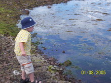 Botwood