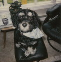 Casey posing for the camera