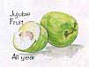 jujube