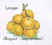 longan