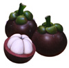 mangosteen