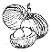 santol