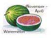 watermelon