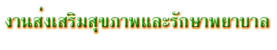 pho5.jpg (13465 bytes)