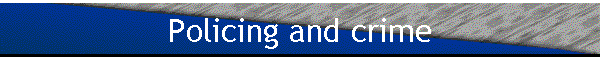 Policing and crime