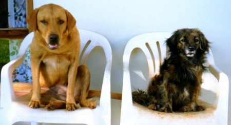 Bella & Jason