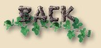 Back a Page