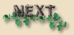 Next Page