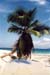 Mahe_AnseSoleil2