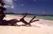 Praslin_AnseVolbert2
