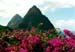 Nr36Pitons