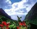 Nr37Pitons