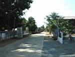 wailum_0003.jpg