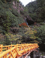 tanabe bridge