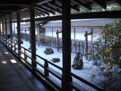 Rock Garden