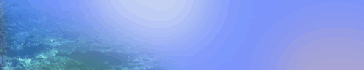 wakayama title 2