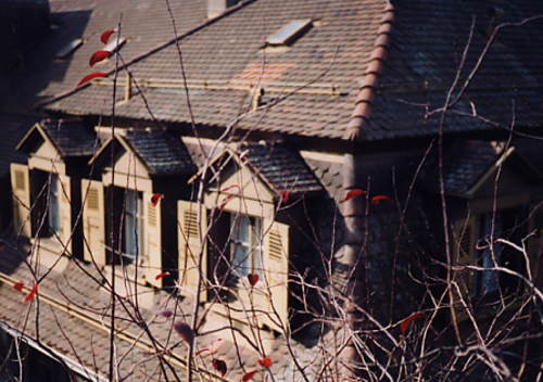 ���[�U���k�̔ӏH