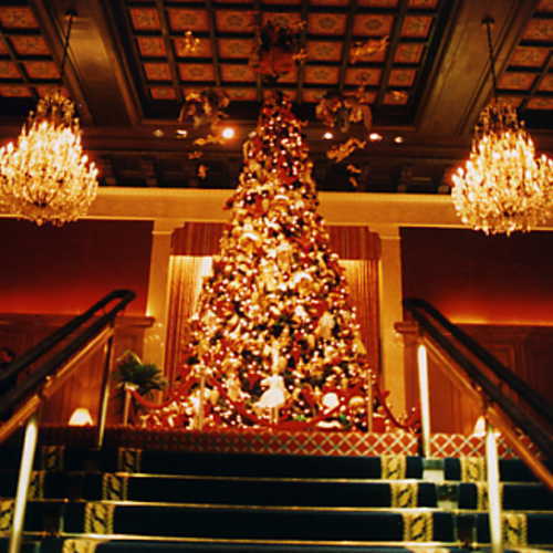 �V�J�S�@�h���C�N�z�e���̃f�R���[�V����