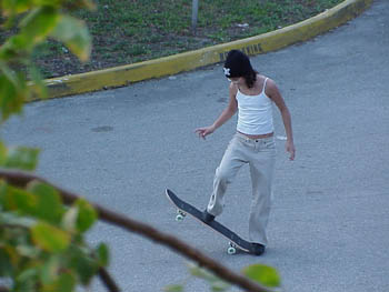 06