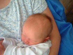 willem