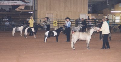 Oreo's second show 1999