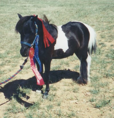 Oreo's third show 1999