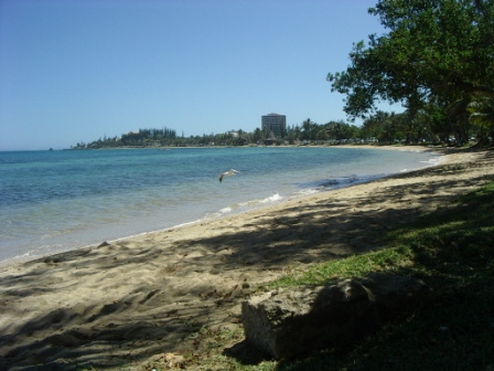 SOUTH PACIFIC - NEW CALEDONIA and NEW ZEALAND