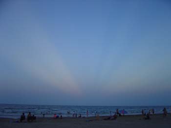 DSC00653