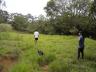 DSC01568.jpg