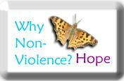Hope for the end of Domestic Violence against Men
