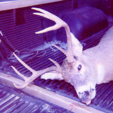2001 opening day of the Fall gun season