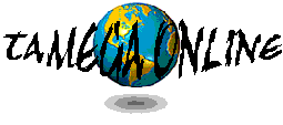 Tmega Online