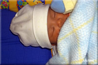 Preston sleeps