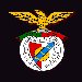 benfica.jpg (2596 bytes)