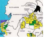 mapalotes1.gif (80382 bytes)