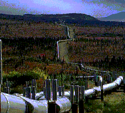 simbolo1.gif (14354 bytes)