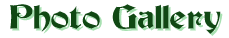 Banner5.gif (3161 bytes)
