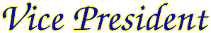 Lee FBLA - Vice President
